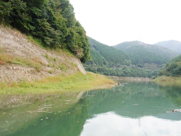 ２０１６年１０月２６日 ブラックバス釣り おかっぱり釣果 琵琶湖