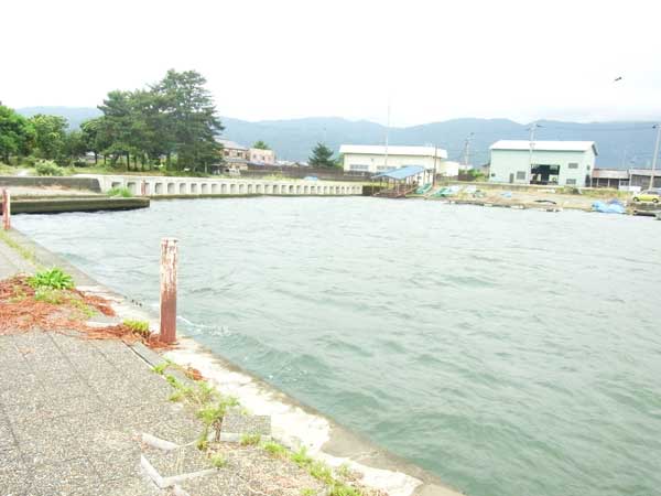 知内漁港 バス釣り おかっぱりポイント