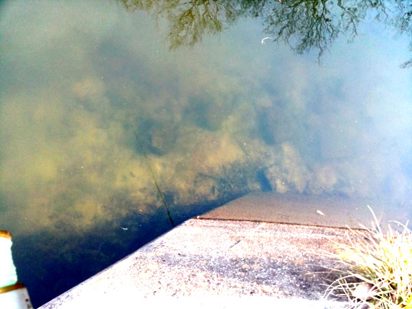 バス釣り　琵琶湖　乙女が池