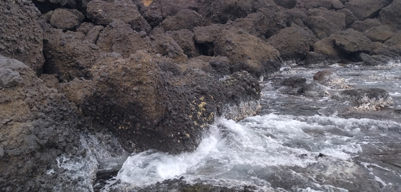 烏賊釣り エギング おかっぱり釣果 日本海若狭湾