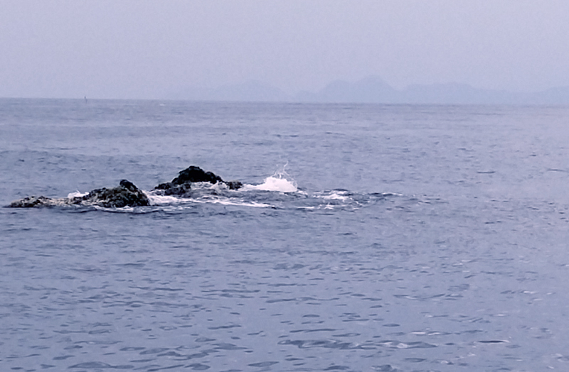 烏賊釣り エギング おかっぱり釣果 日本海若狭湾