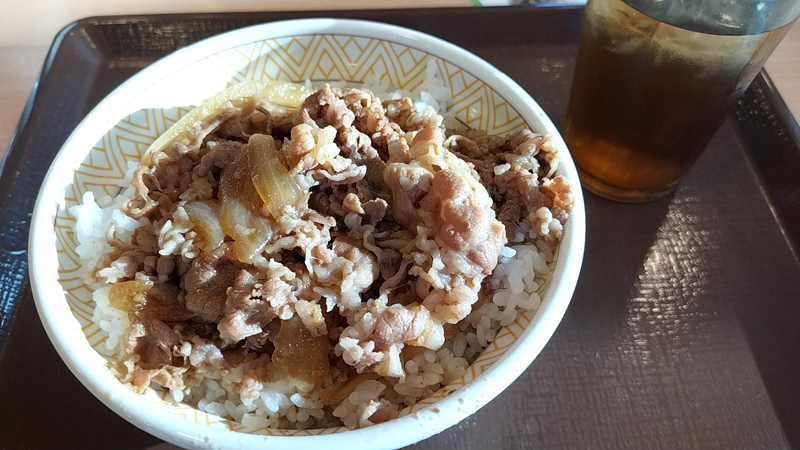 琵琶湖 バス釣り 釣果情報