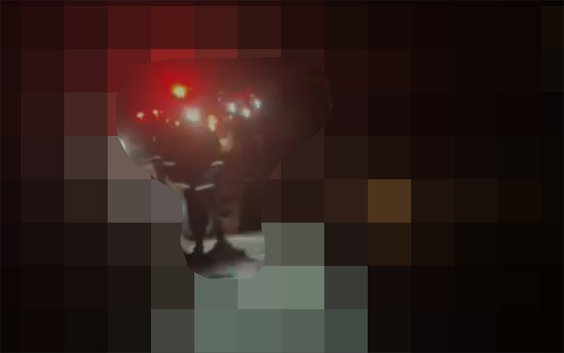 救出後のレスキューの様子