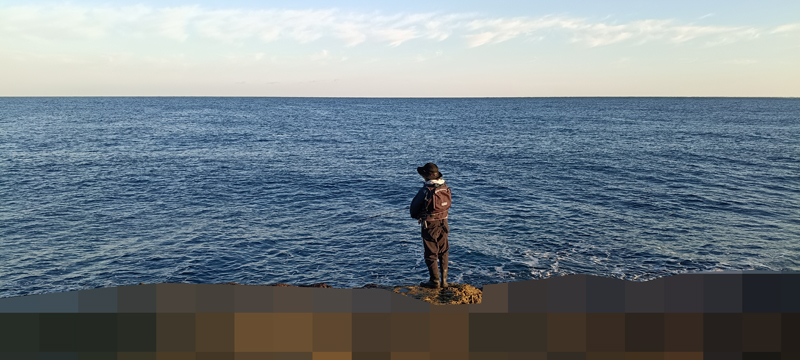 烏賊釣り エギング おかっぱり釣果 日本海若狭湾