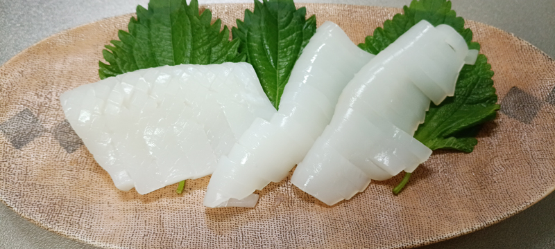 烏賊釣り エギング おかっぱり釣果 日本海若狭湾