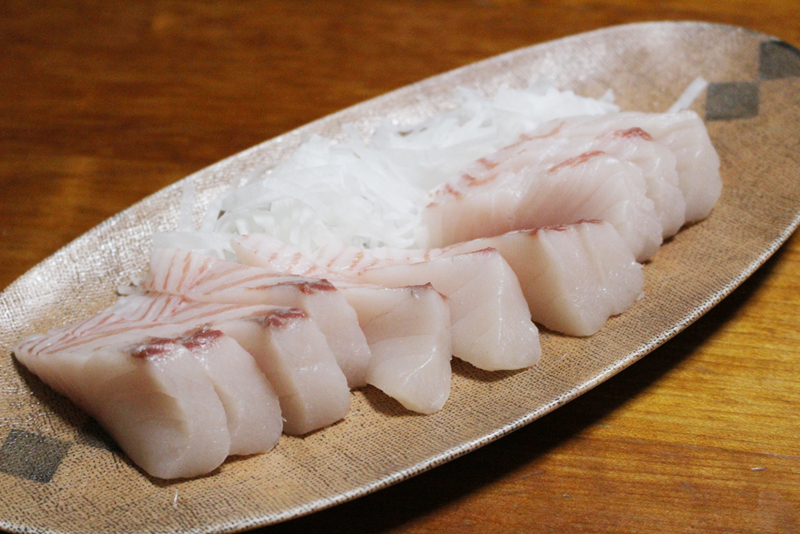 若狭湾 青物チャレンジ