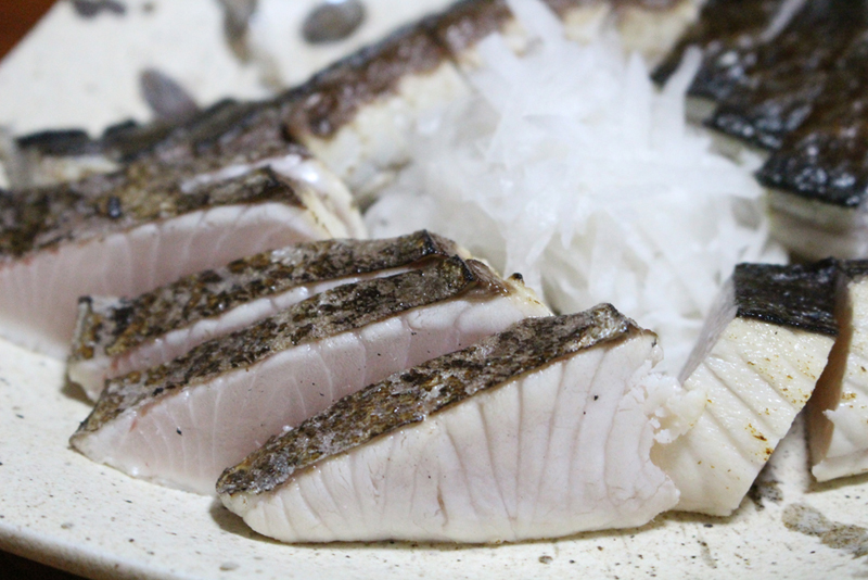 若狭湾 青物チャレンジ