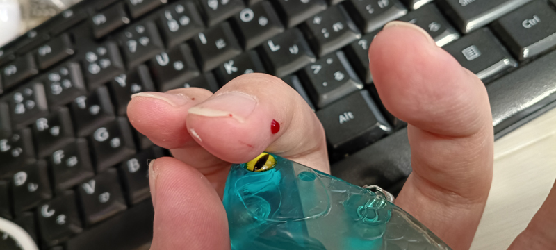 琵琶湖バス釣り釣果情報