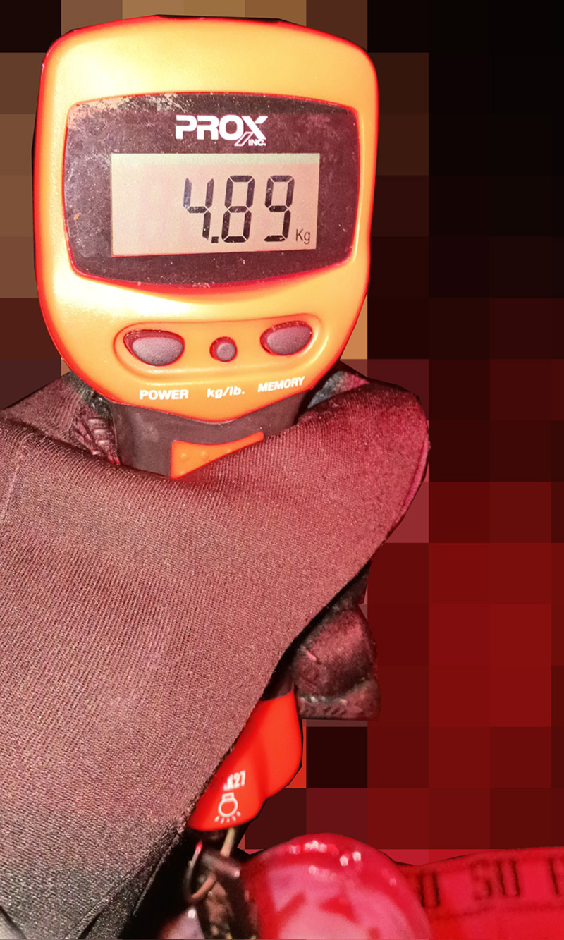 琵琶湖バス釣り釣果情報