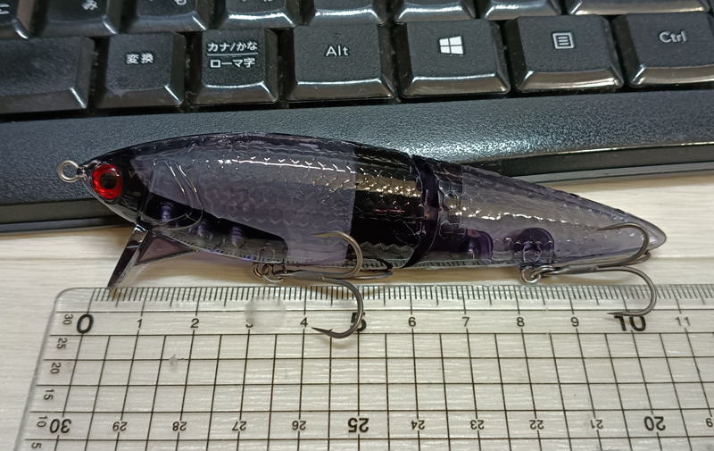 琵琶湖バス釣り釣果情報