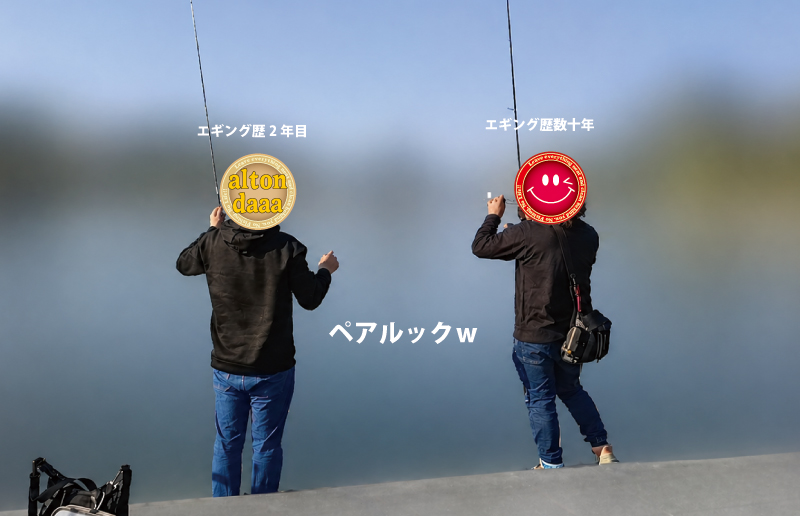 若狭湾 敦賀 エギング 釣果情報