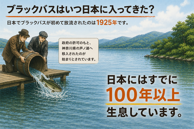 ブラックバスはいつ日本に入ってきた？