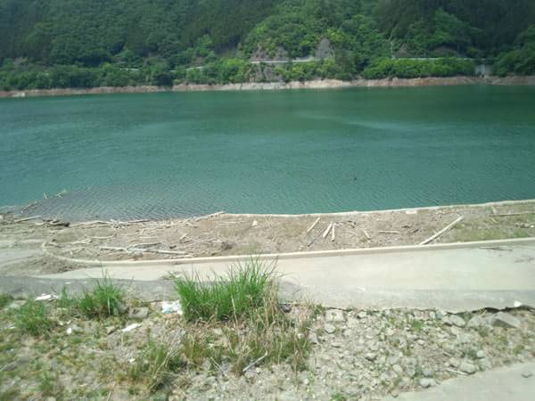日吉ダムでの少しだけ減水したおかっぱりポイント