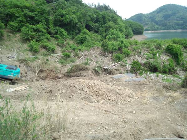 日吉ダム（小倉谷）の台風後のおかっぱりポイント