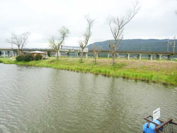 貫川内湖 バス釣り おかっぱりポイント
