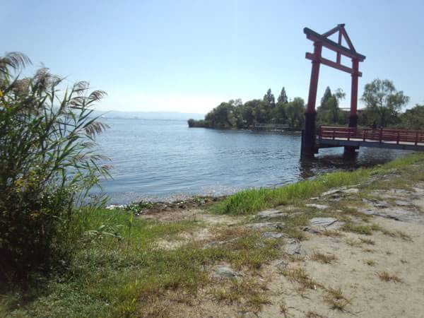 下坂本 ブラックバス釣り おかっぱりポイント 琵琶湖